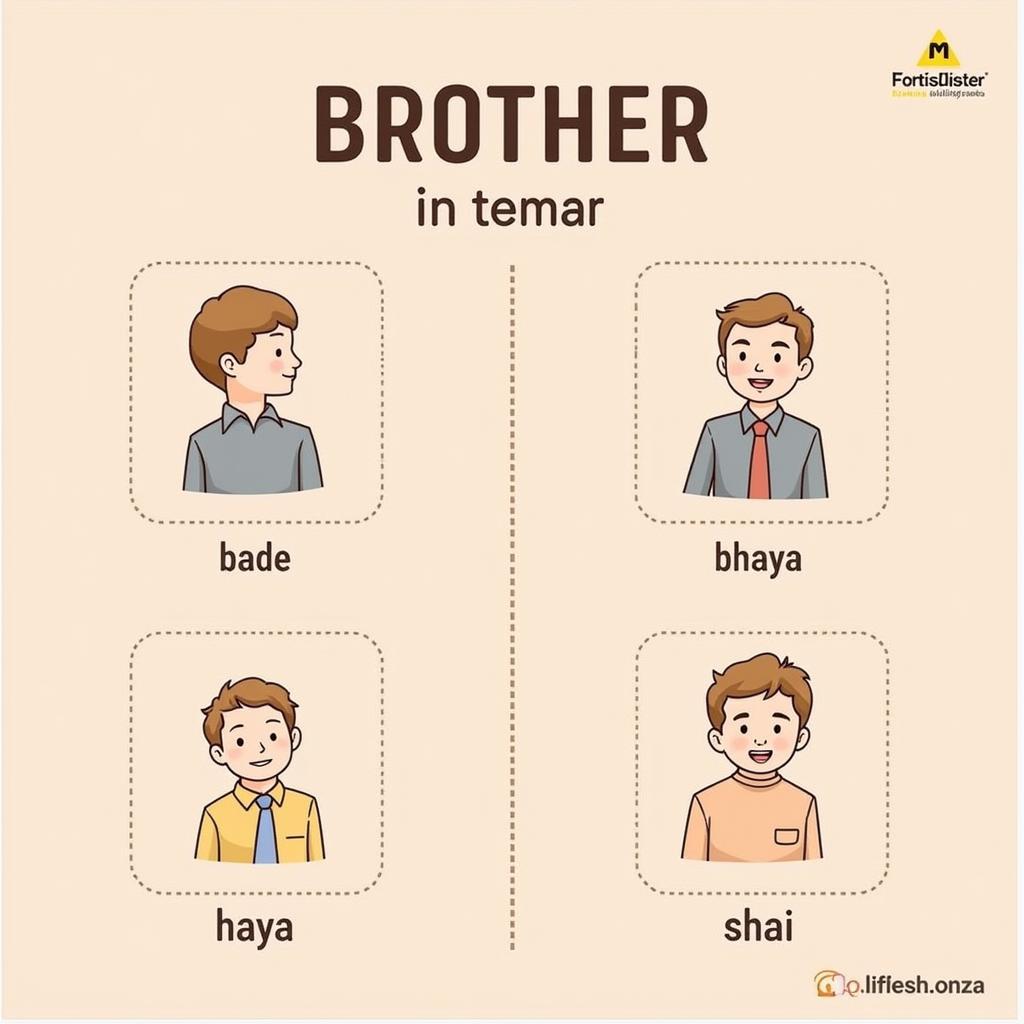 Variations of the term "brother" in Hindi