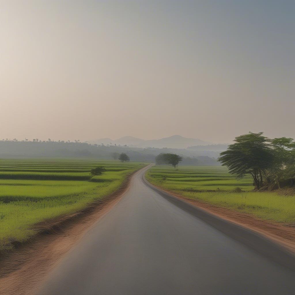 Long Road Stretching into the Distance in India