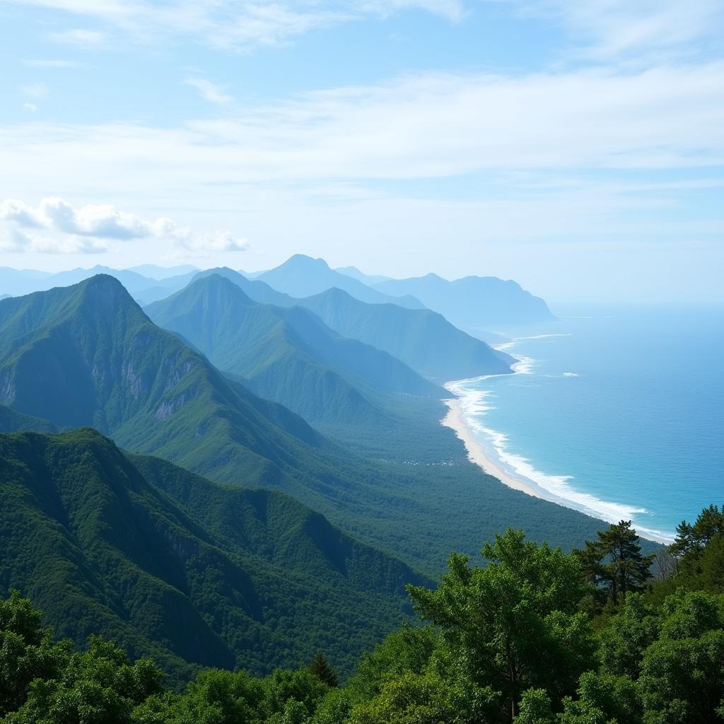 The Natural Beauty of the World: Mountains, Oceans, and Forests