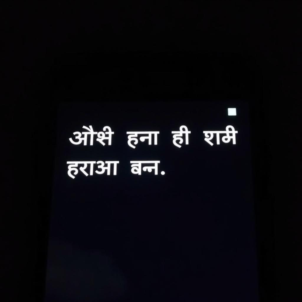 A phone screen displaying a two-line sad status in Hindi script.