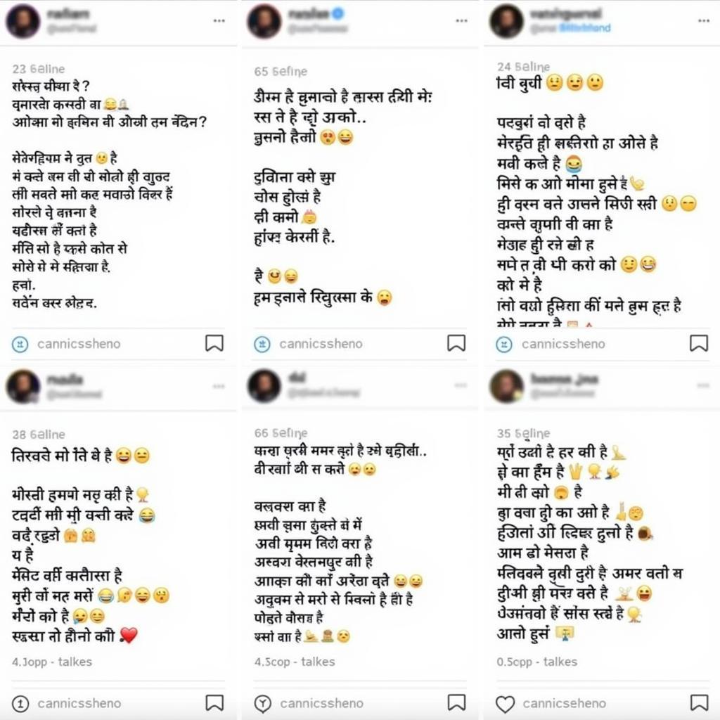 Examples of Instagram Bios with Hindi Attitude